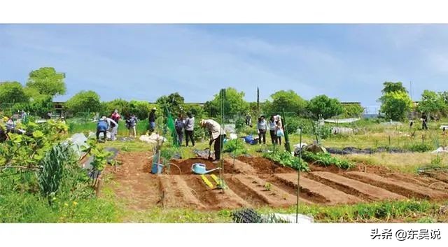 myfarm创新共享农业新模式,日本myfarm共享农场营销模式