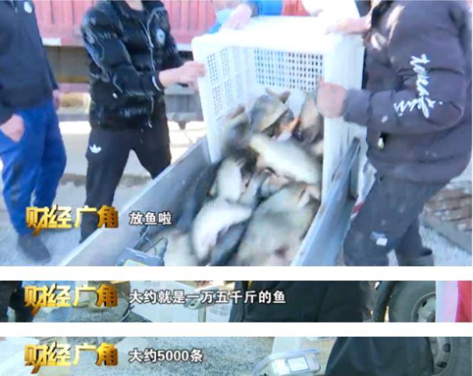 开个垂钓场收入怎么样,垂钓园赚钱吗