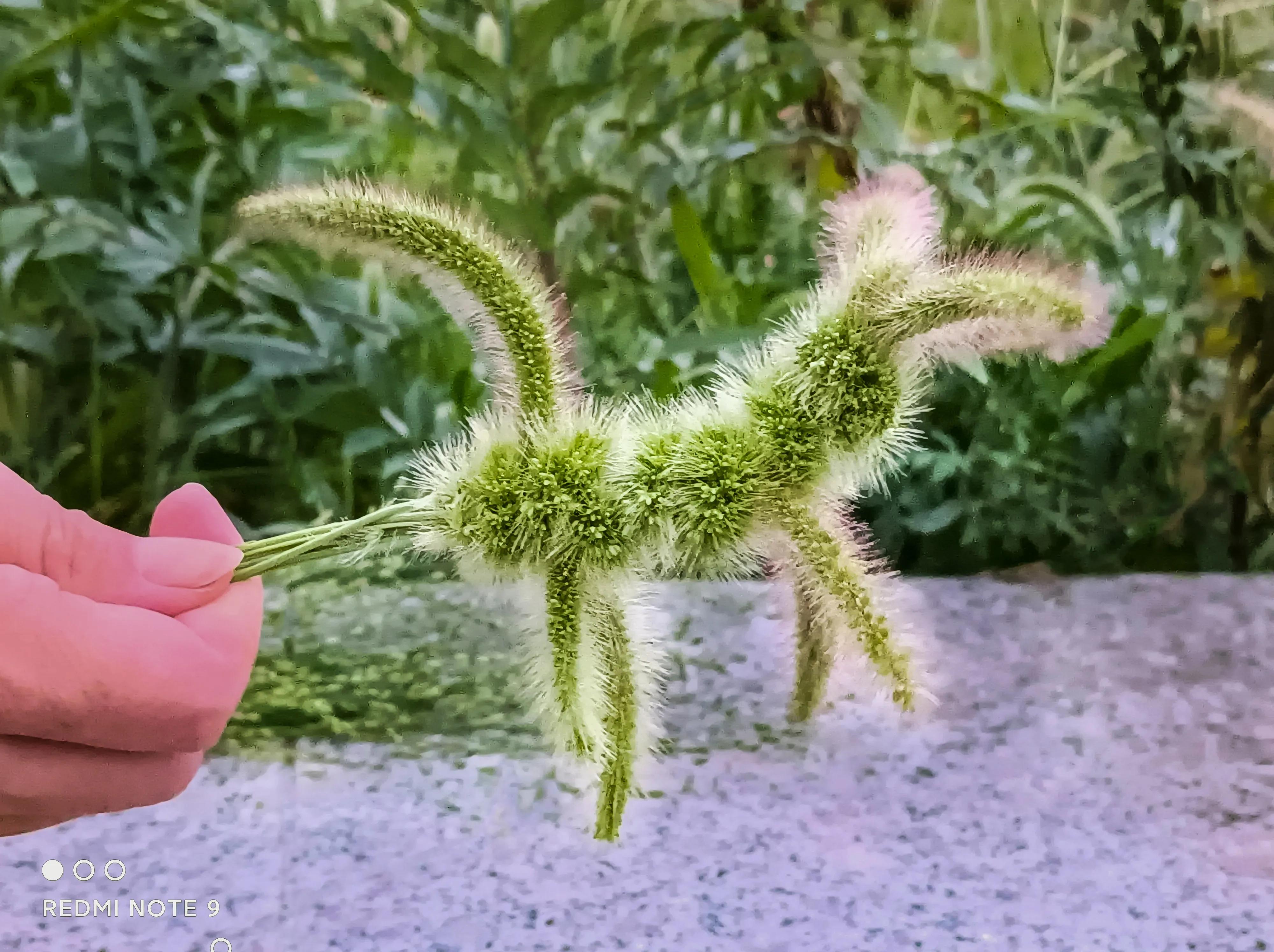 儿时游戏玩具,80年代游戏手工玩具