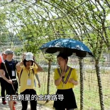 旅游私人订制需要资质吗,旅游私人定制的价值和意义