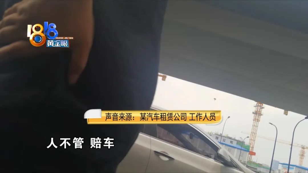 租车撞树,租车被撞事件