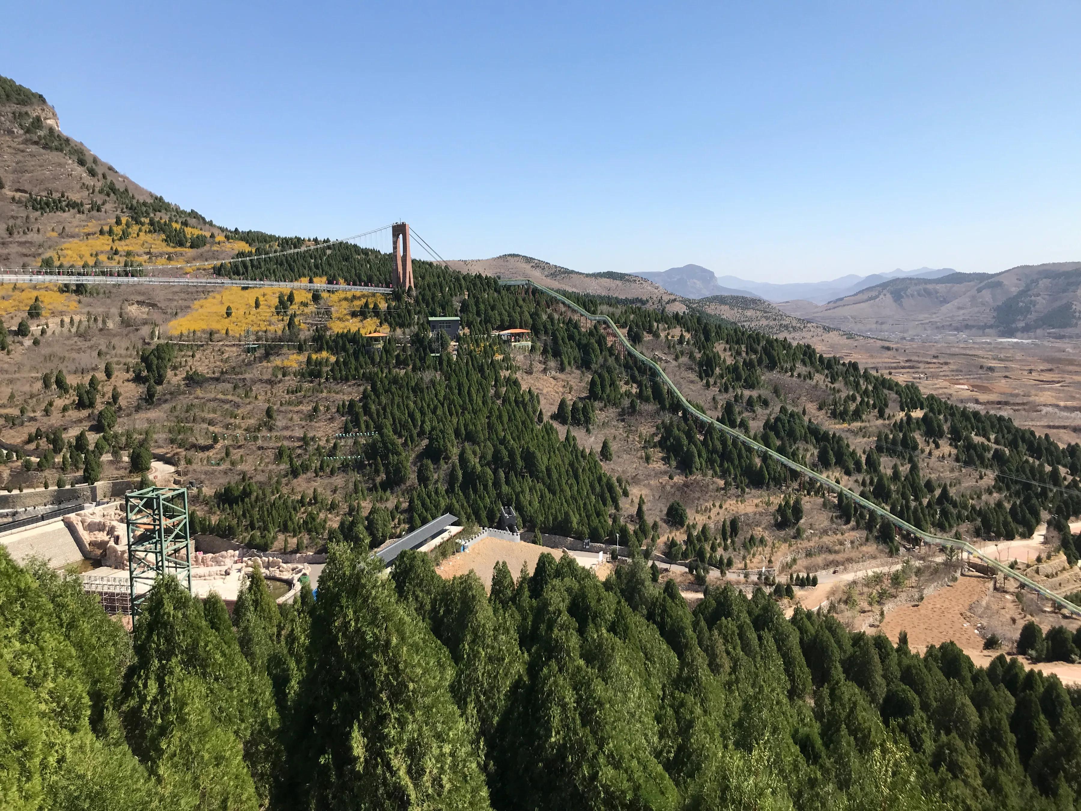 种下一棵希望的幼苗，交换出无限的快乐与成长