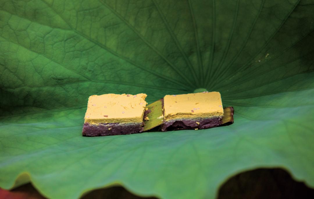 银杏谷泡温泉的地方,广东冬天赏银杏泡温泉