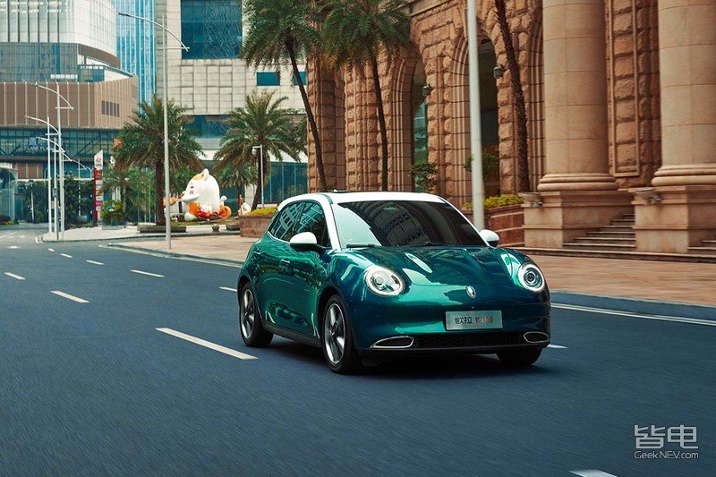 一只美貌与智慧并重的猫咪,一只靠自己找到今生铲屎官的橘猫