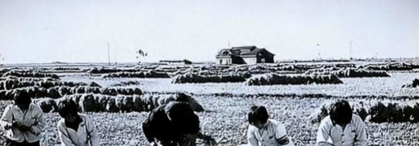 信发集团去年净利润赶超魏桥集团,魏桥铝业厉害还是信发铝业厉害