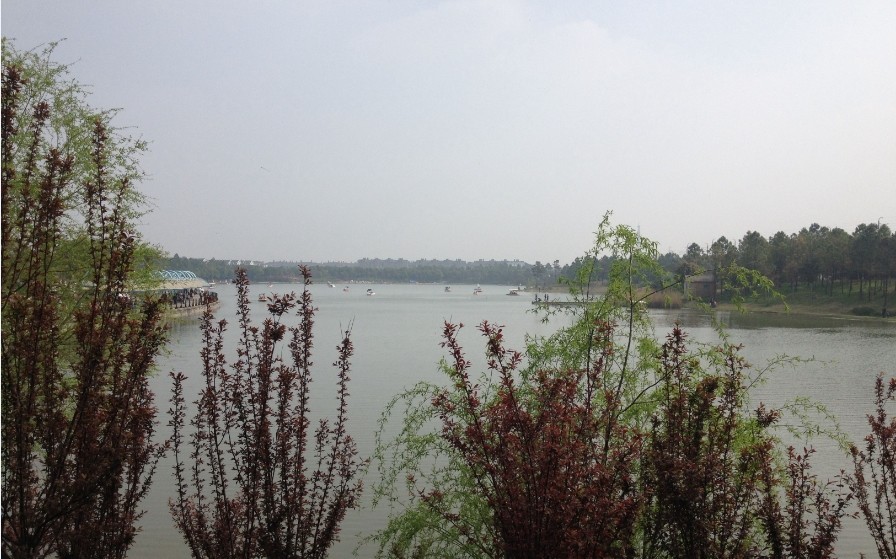 上海第一大人工湖在哪里,上海最值得打卡的公园