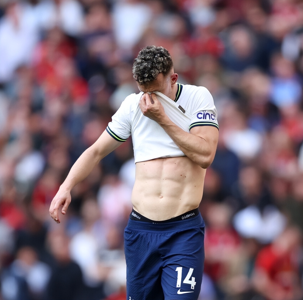 托特纳姆热刺主力队员名单,托特纳姆热刺教练