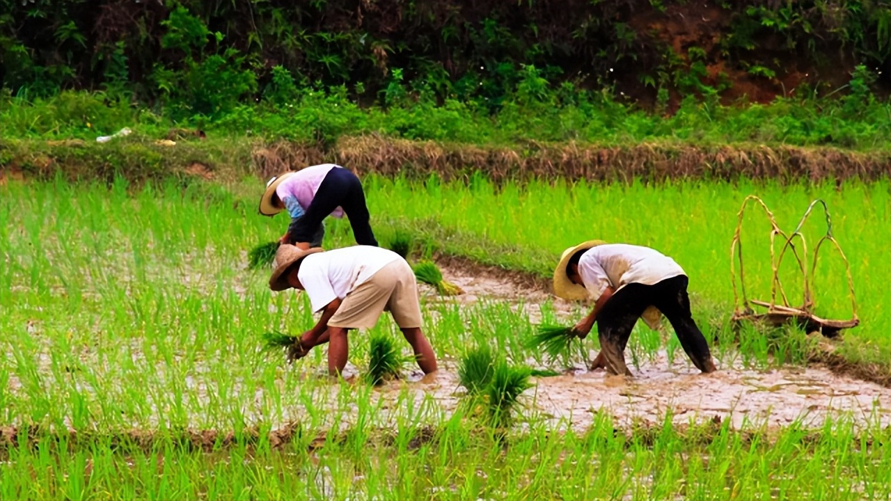 灏忎紮杞荤敓19宀佸皯濂崇尞鍒濆惢,19宀佸皬浼欒交鐢熷皯濂崇尞鍒濆惢