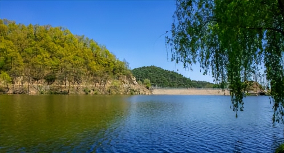 济南夏日森林游玩攻略,藏在济南的夏日度假圣地