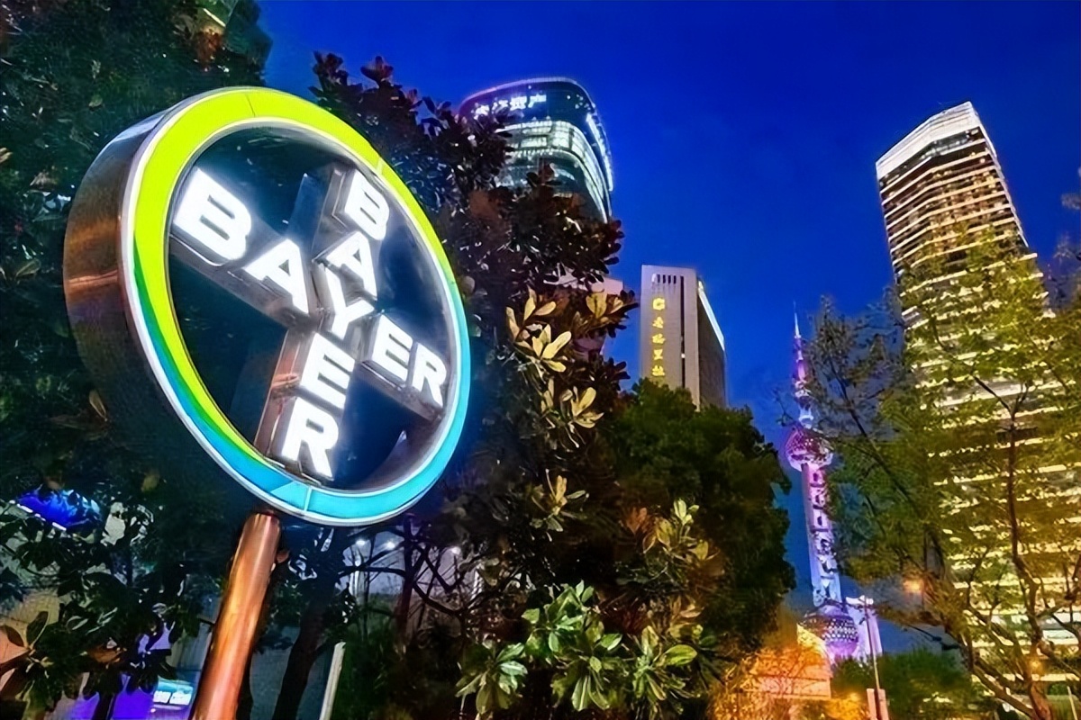 进博观察最新信息,进博看全球