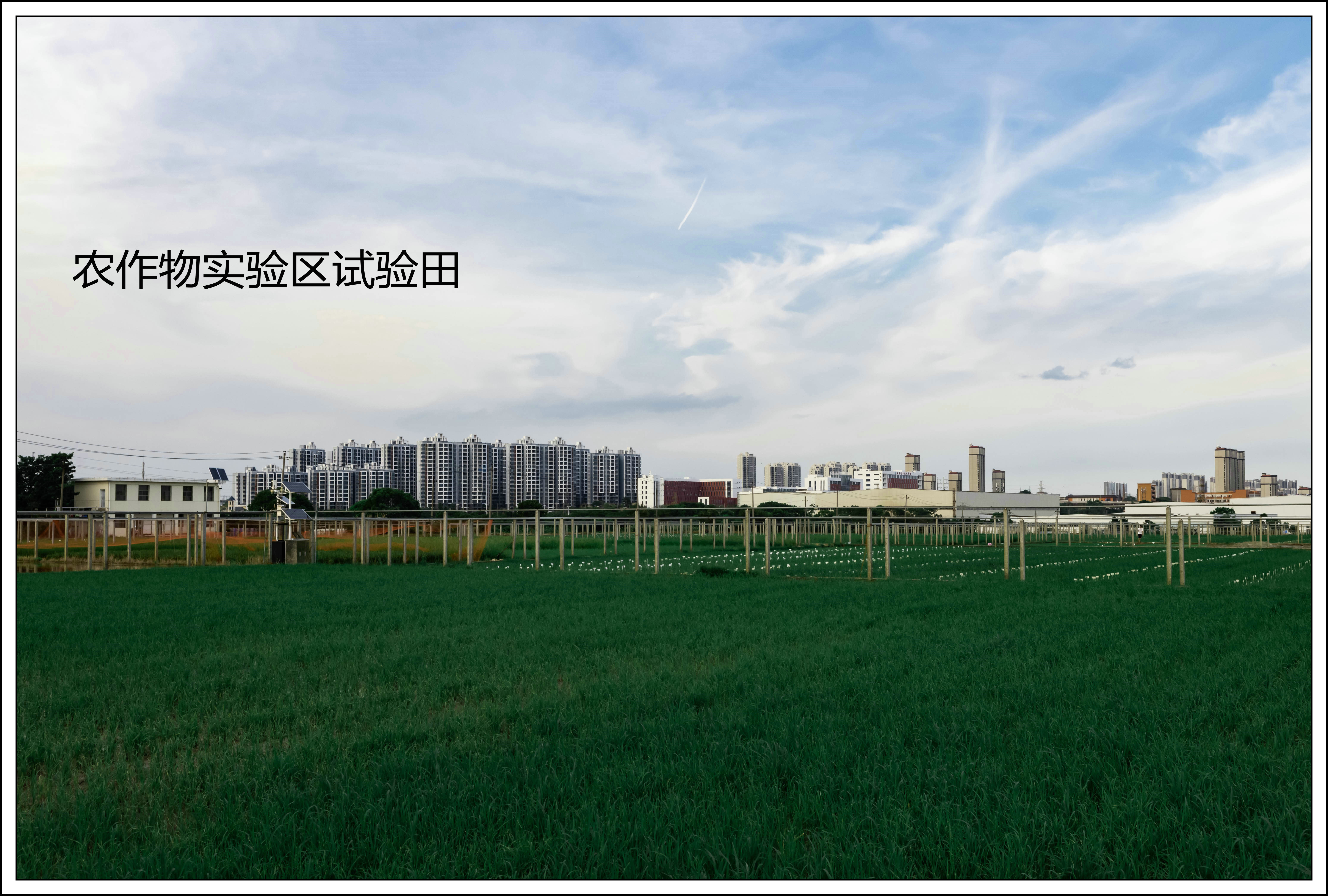 江西农业大学南区排名,江西农业大学探校