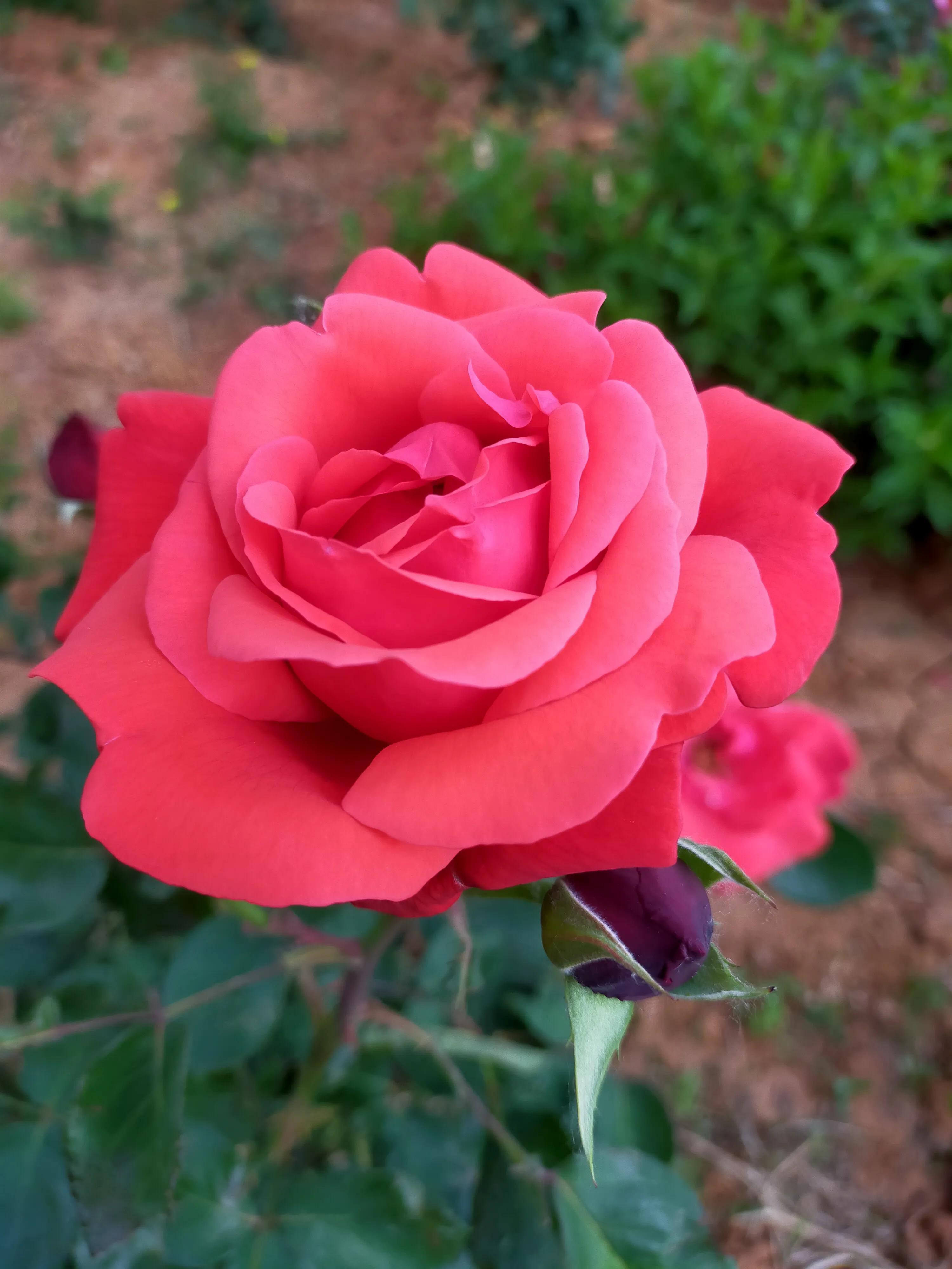 忘关车窗下雨进水的正确处理方式,汽车车窗忘了关淋雨了怎么办