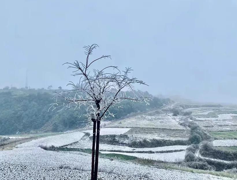 云南开远市下雪吗,开远多少年没下雪了