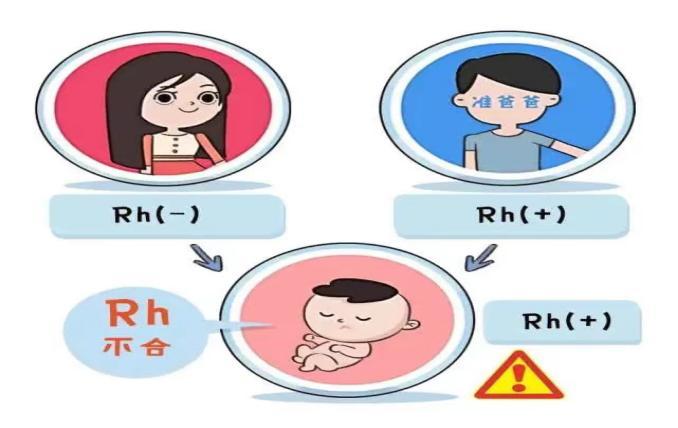 孕妈是o型血一定要做溶血检查吗,o型血孕妈喂母乳孩子体质更好吗
