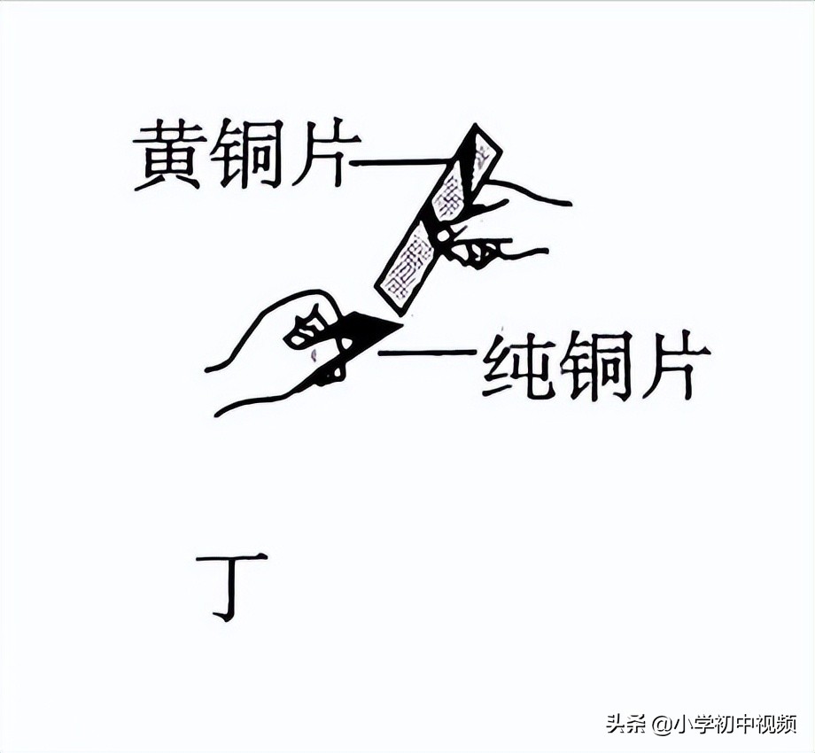 物理中考押题2024山东,2022高三物理押题卷