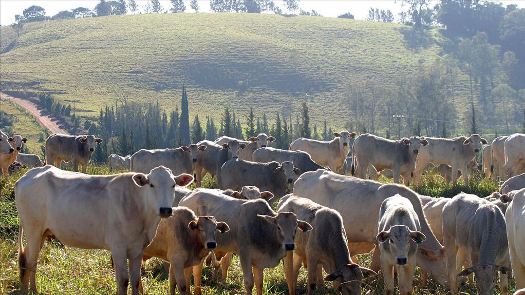 治疗乳腺增生的方法,什么偏方治乳腺增生效果好