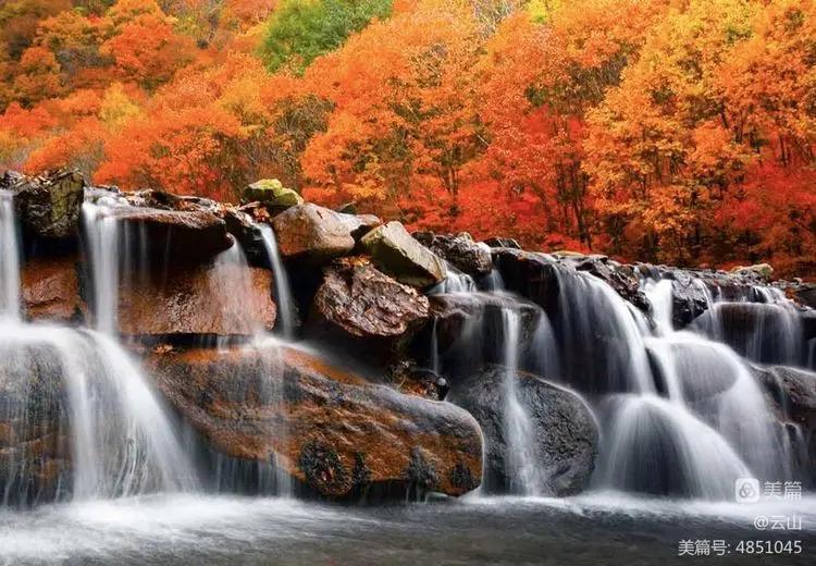 画意风光,画意风光摄影