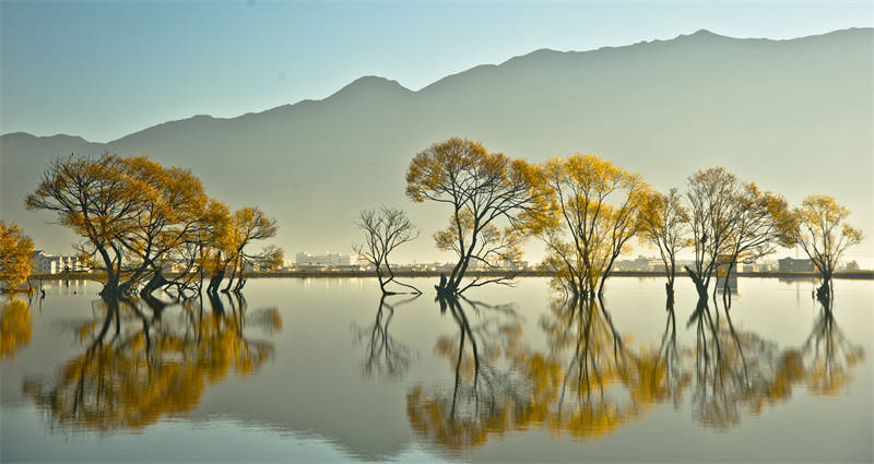 大理开启大理之旅,冬季的大理适合旅游吗
