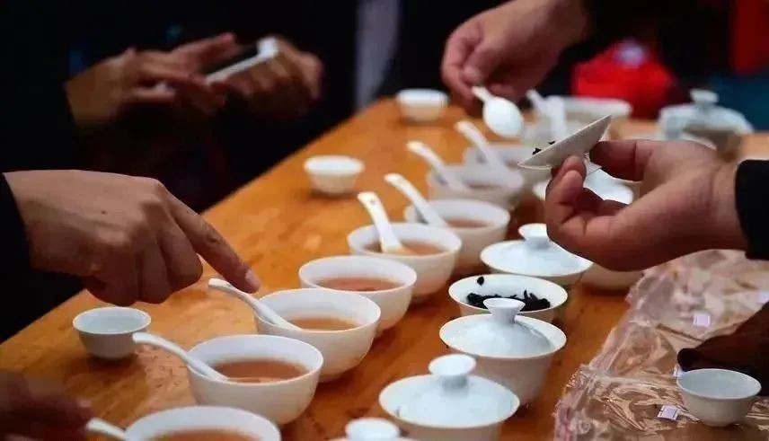 浅谈大益茶文化,大益茶文化讲解