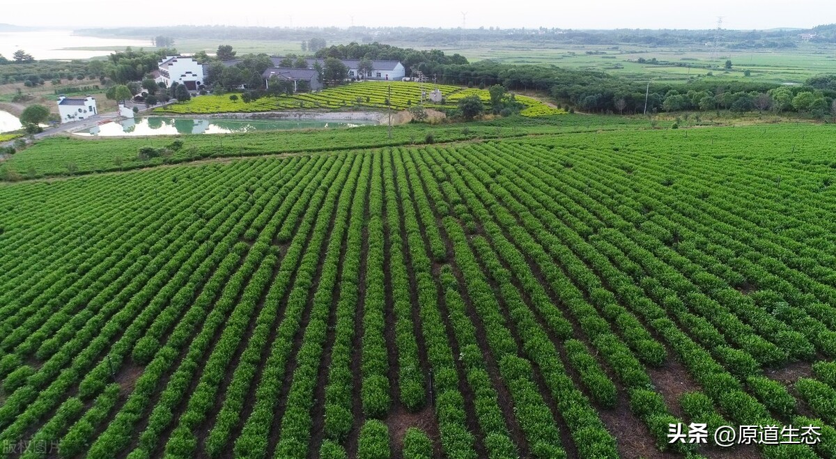家庭农场扶持资金申请在哪里报名,如何申报家庭农场