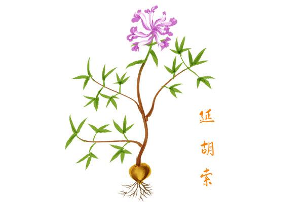 心肌缺血中医特效处方,心肌缺血的特效药片