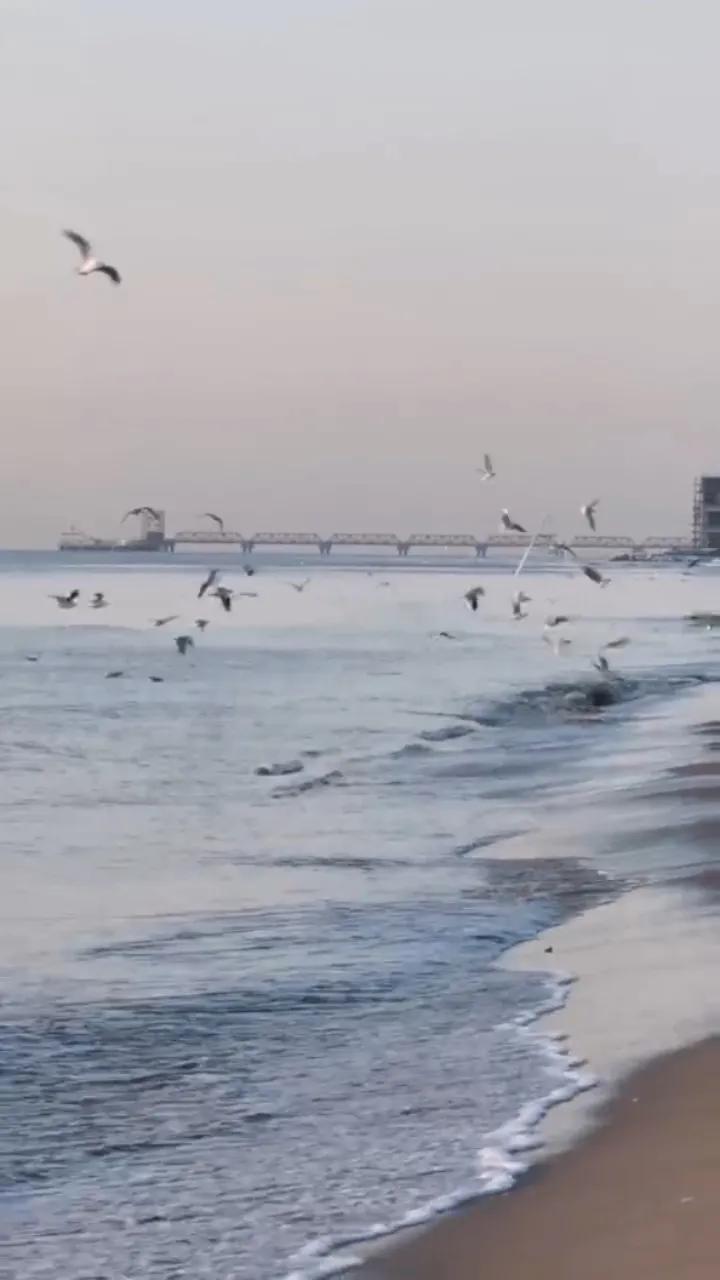 春节打卡阿那亚,春天里的打卡地方