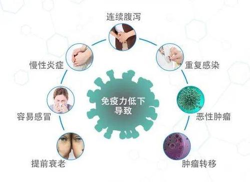 可以增强免疫力的中药方子——增免方