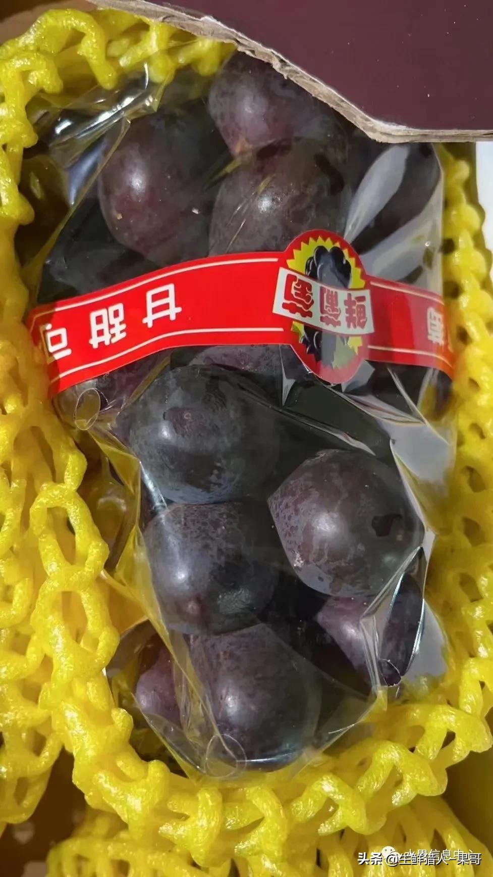 在水果中浆果是分哪几种,水果分类浆果