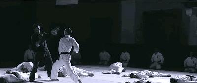 推荐几部甄子丹最能打的动作电影,甄子丹拍过三部巅峰时期动作片