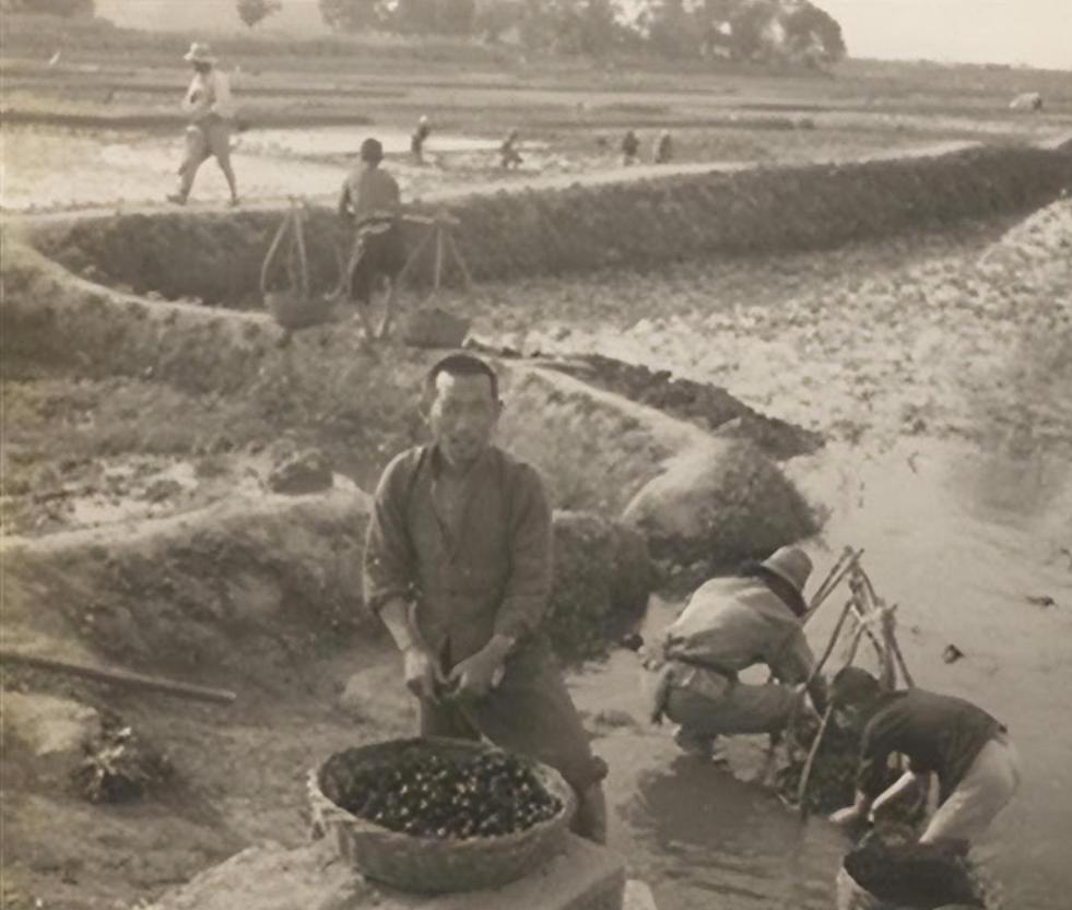 鲁迅儿时伙伴闰土的后裔情况,鲁迅少年玩伴闰土的晚年生活