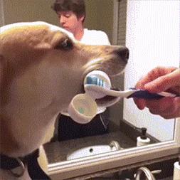 林志玲为什么越来越像日本贵妇,林志玲越来越像日本贵妇