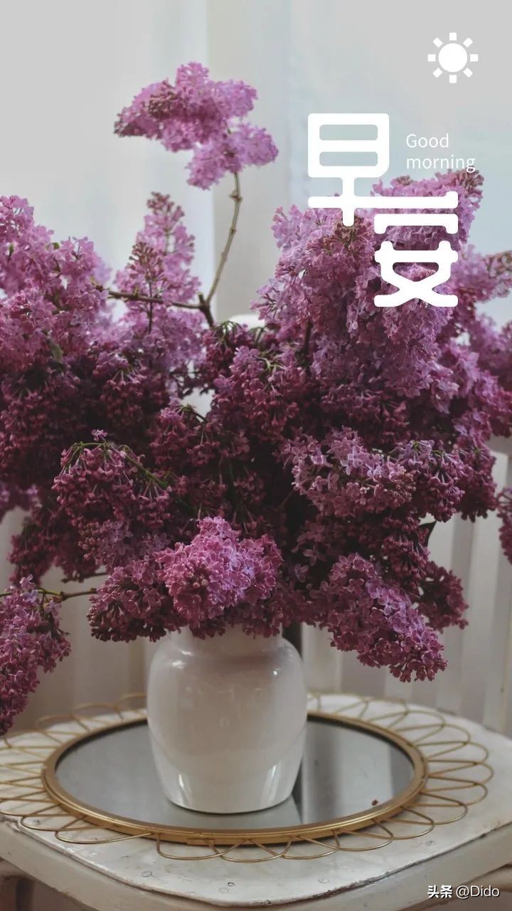 黎明将至抬头尽是朝阳什么意思,已知黎明将至抬头尽是朝阳含义