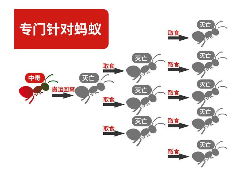 家里蚂蚁多用什么药灭蚂蚁,专业灭蚂蚁药