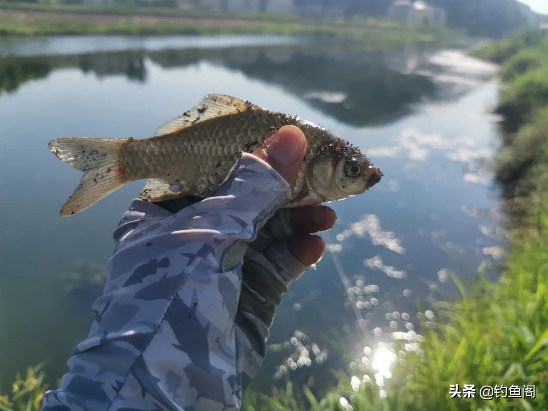 鱼没钓到还中暑了,天冷钓鱼鱼不咬钩怎么办
