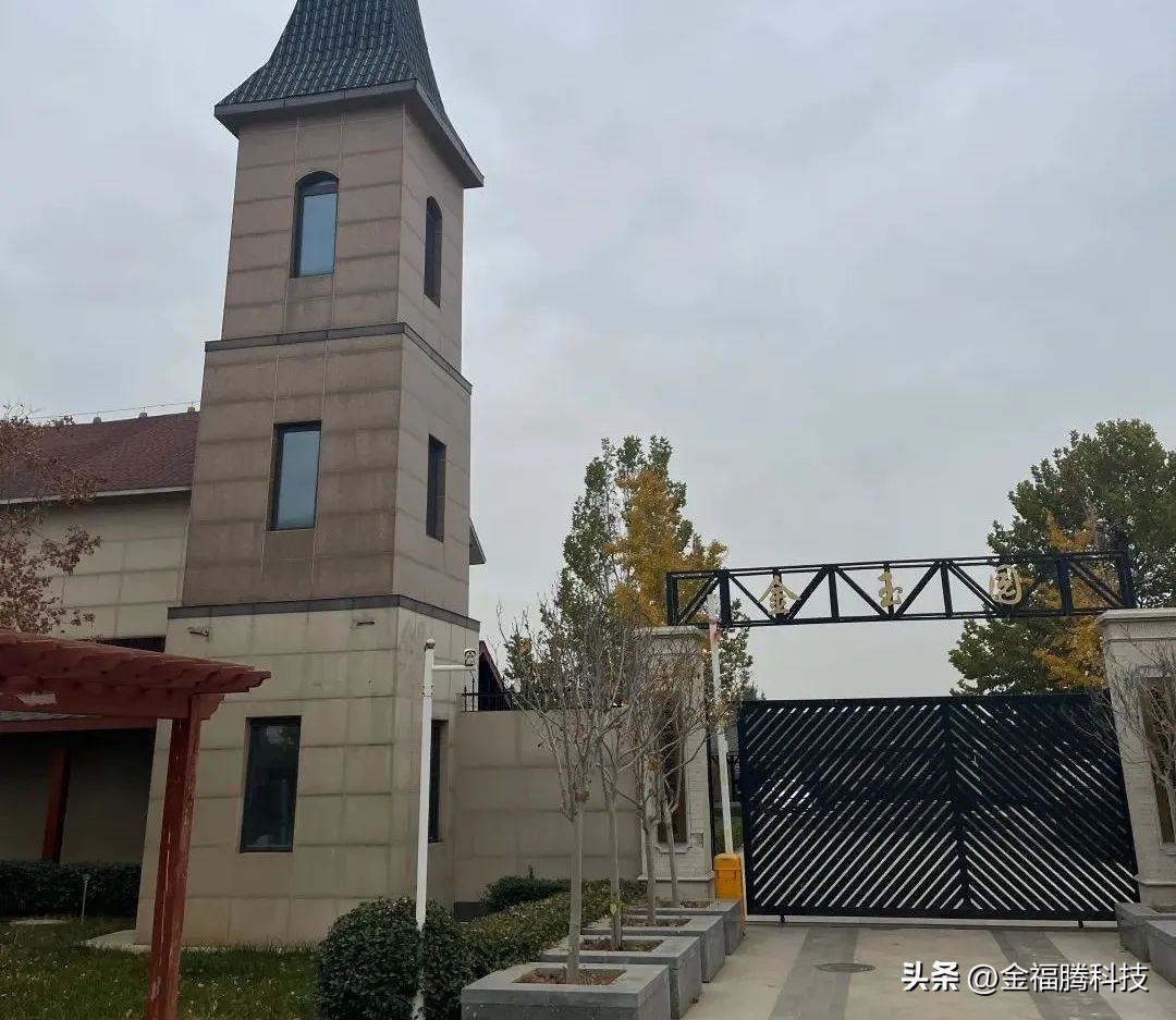 金玉园萝卜熟了~15日采摘期，清甜无辣，原汁原味，自然生长