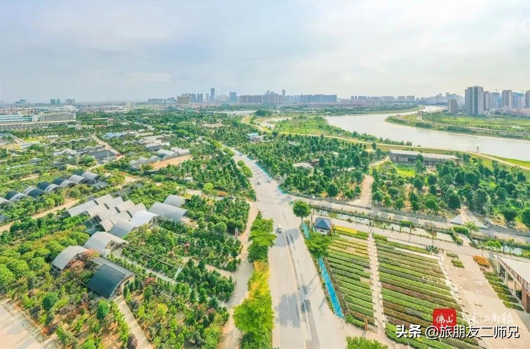 广州去佛山旅游攻略路线,广州到佛山旅游攻略一日游