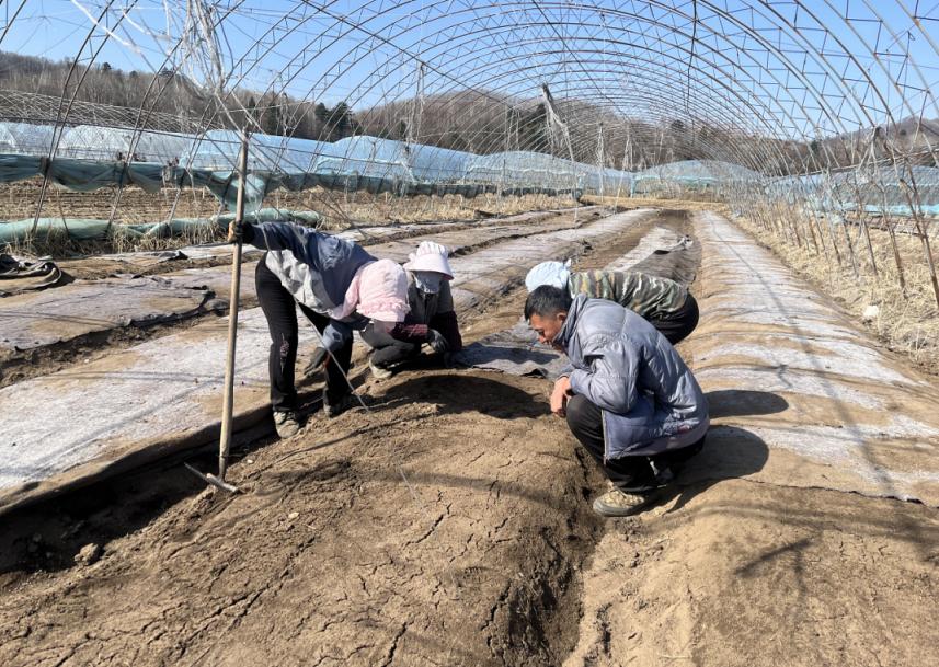 春耕生产抗疫期间,复工复产勤春耕乡村振兴正当时
