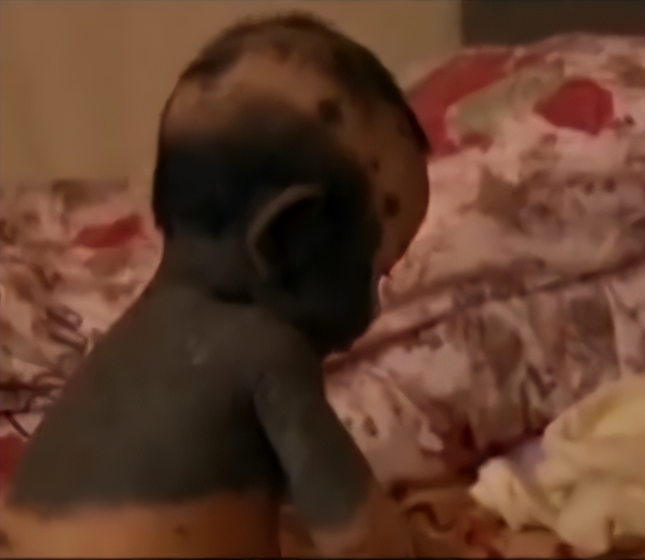 吃竹鼠的熊猫宝宝现在怎么样了,怀孕时吃竹鼠生下奇怪小孩后续