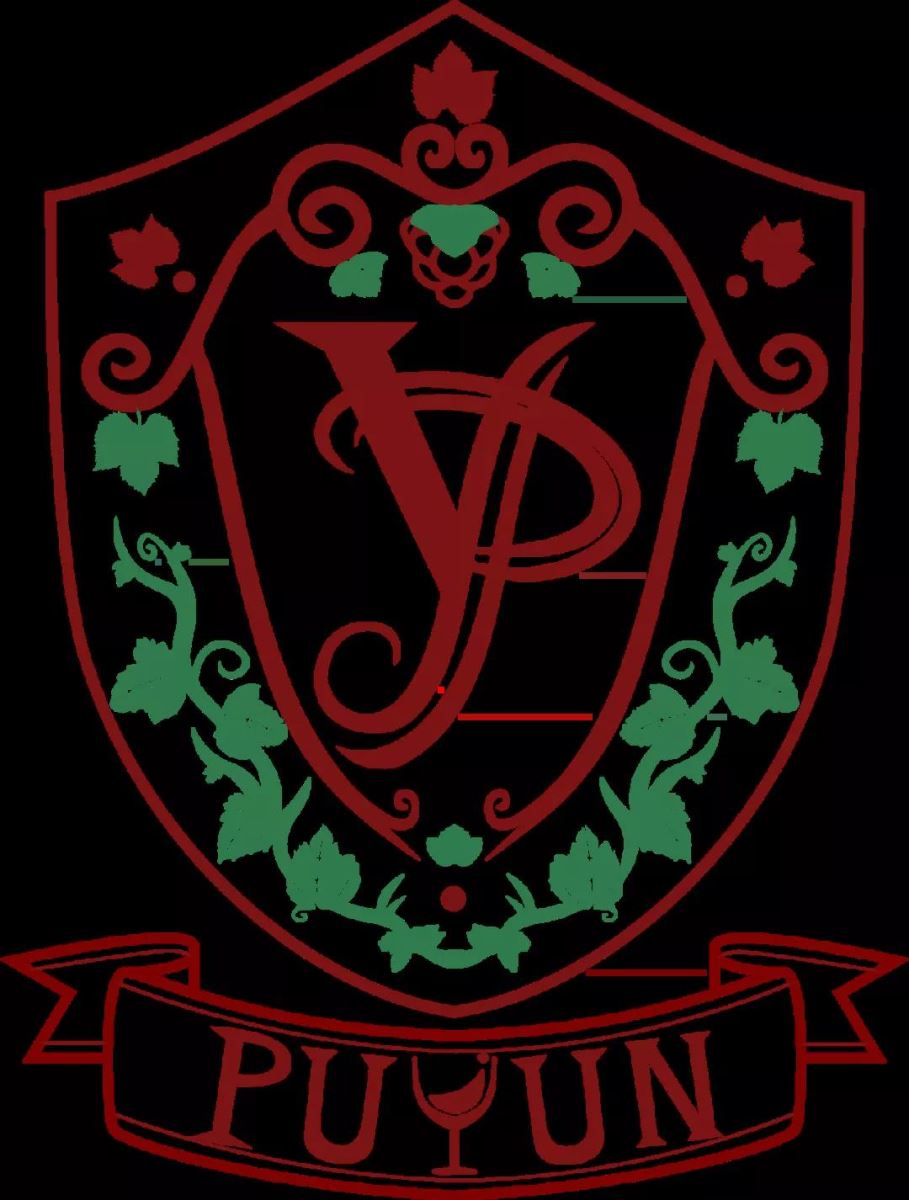 互联网创新创业大赛获奖作品,孙思捷全运会