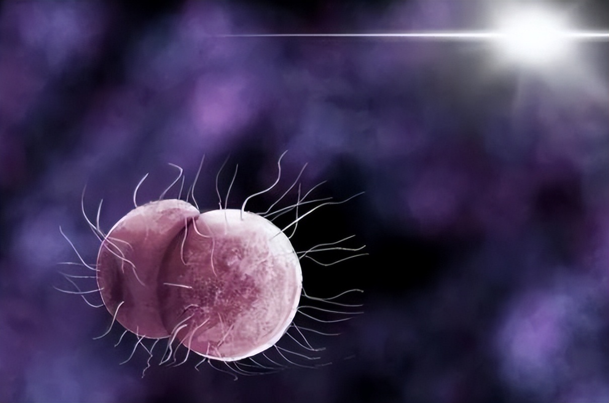 5种性传播疾病的表现以什么为主,哪些病可以通过性传播