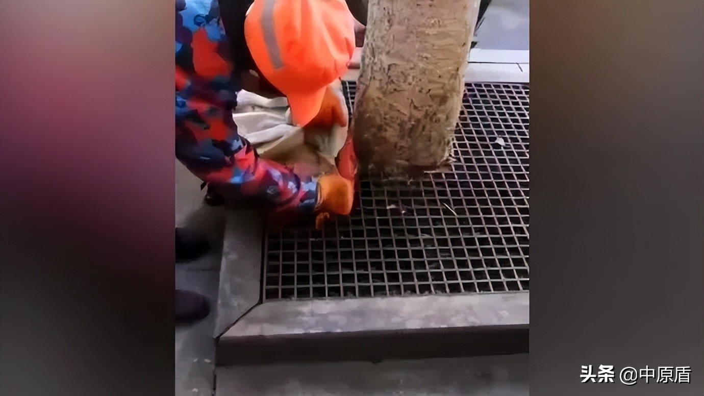 司机主动承认酒驾这是啥情况,司机开车撞人逃逸怀疑酒驾