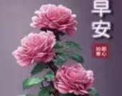 早安图片带字早安祝福语大全,2018早安语录带字图片