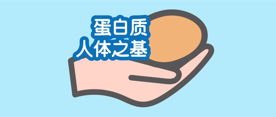 蛋白质低吃什么药补得快最有效,蛋白质量偏高要控制吃什么东西