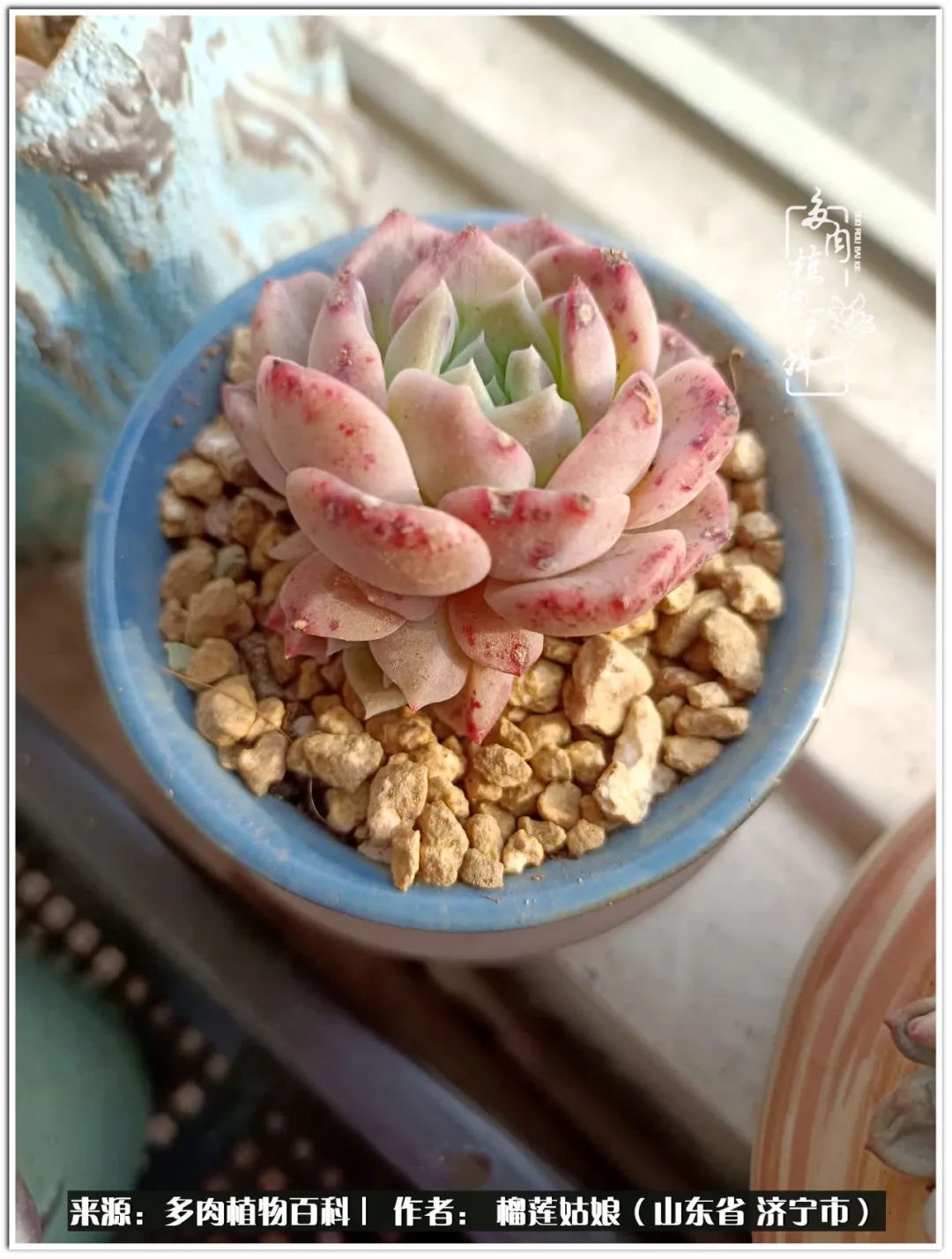 繁花似锦觅安宁淡如流水度一生,繁花似锦觅安宁淡云流水度人生