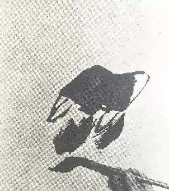 国画大师李苦禅一步一步教你画“四绝神鹰”，经典好学