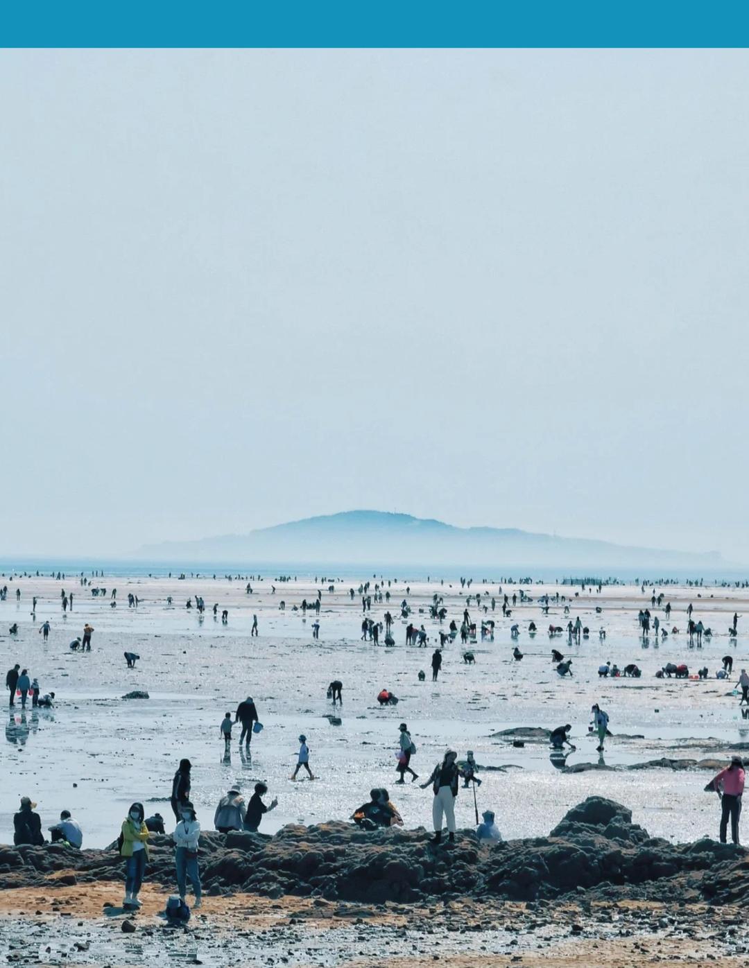和我一起去赶海,我想去赶海你想去吗