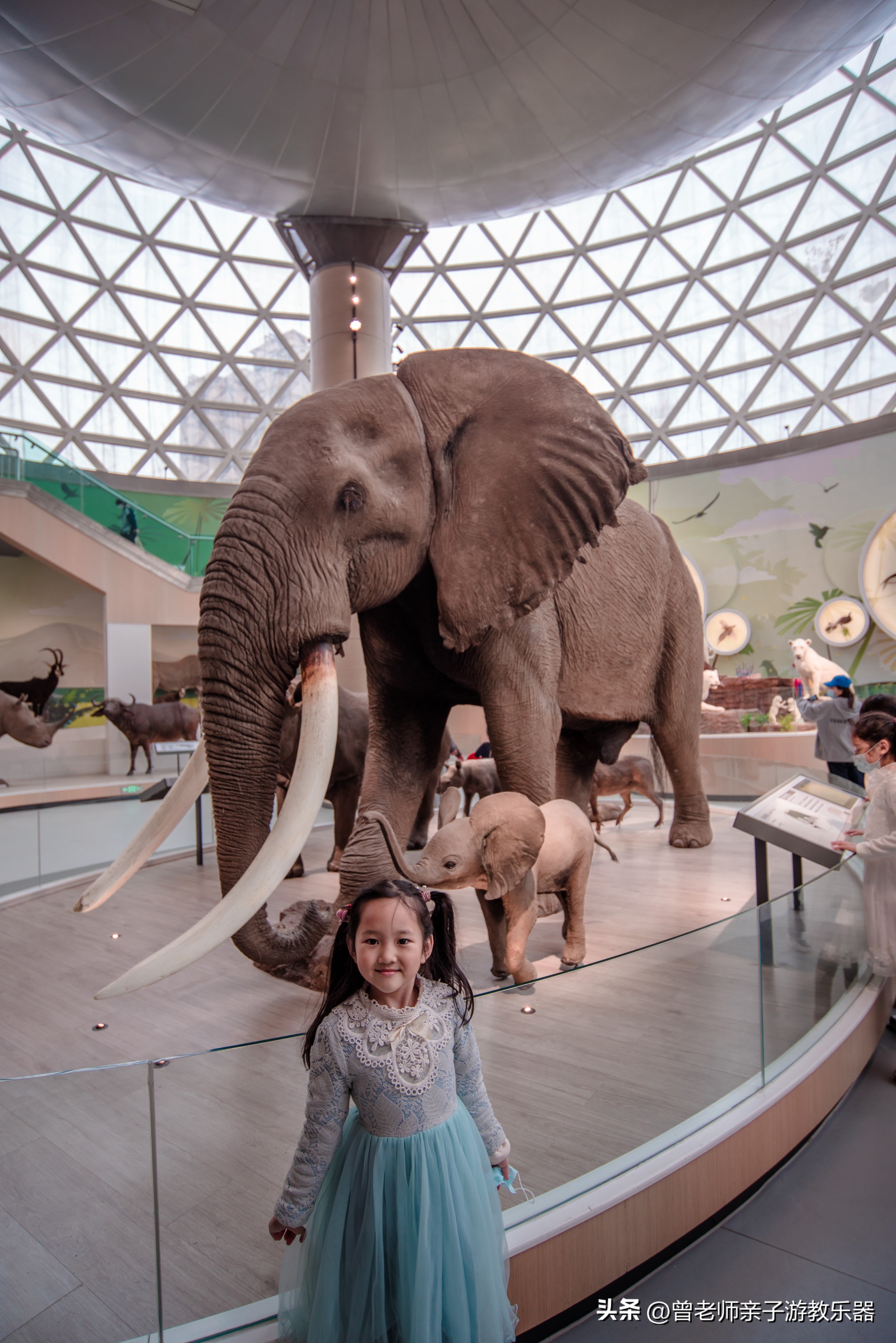 2023西安亲子游景区大全，30多个遛娃宝地，很多都免费