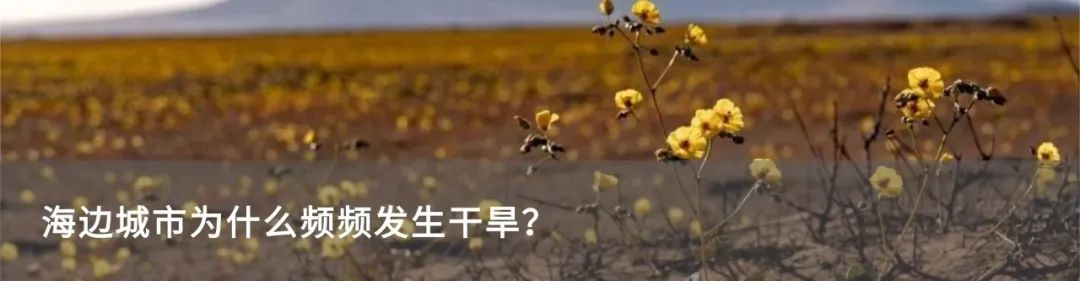 谁是夺冠最大热门,谁是世界杯夺冠热门