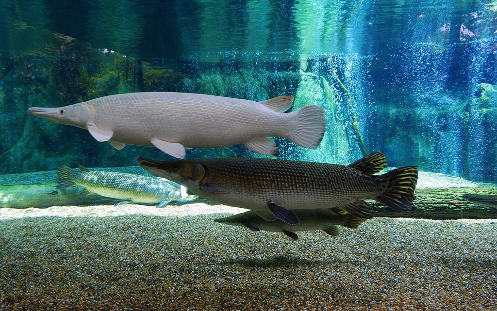 新加坡河川生态园攻略,推荐一个好地方新加坡河川生态园