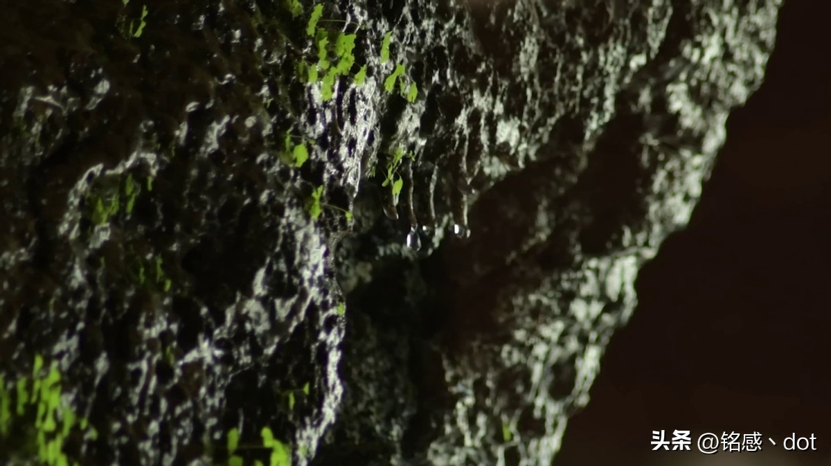 金字塔是世界第一大奇迹吗,金字塔为什么成为七大奇迹之一